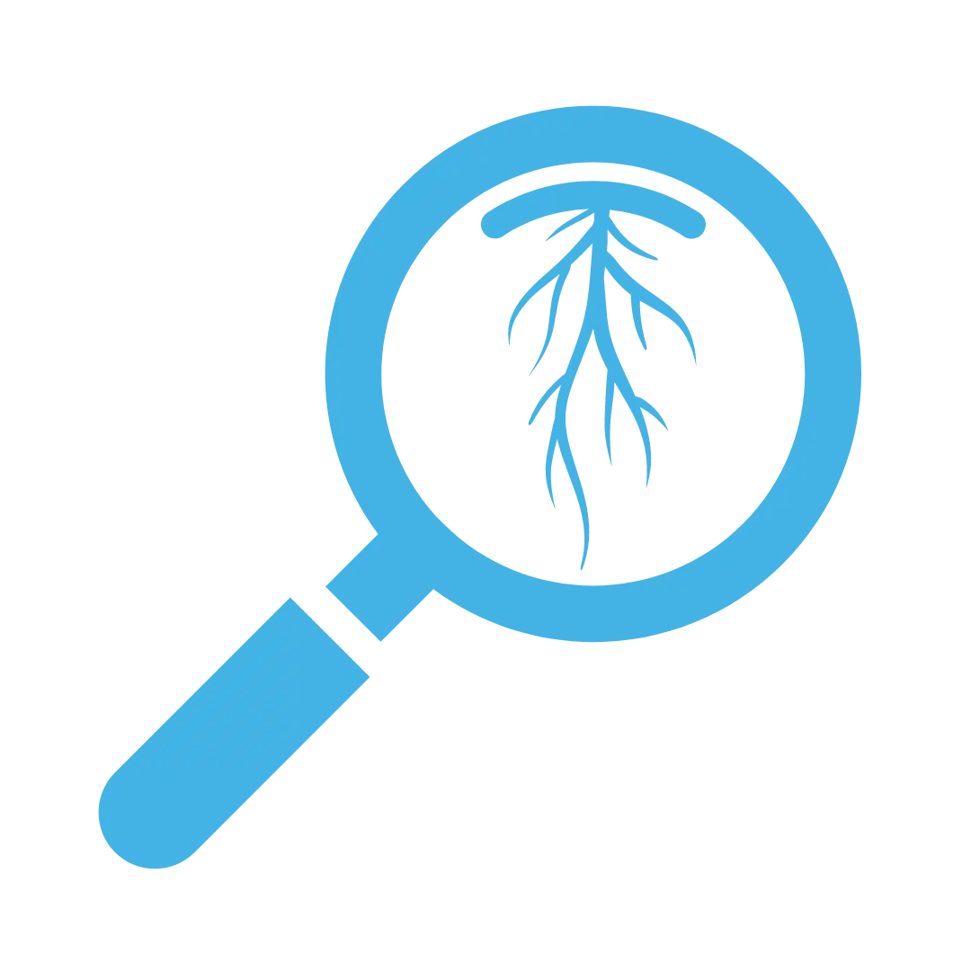 Root Detection